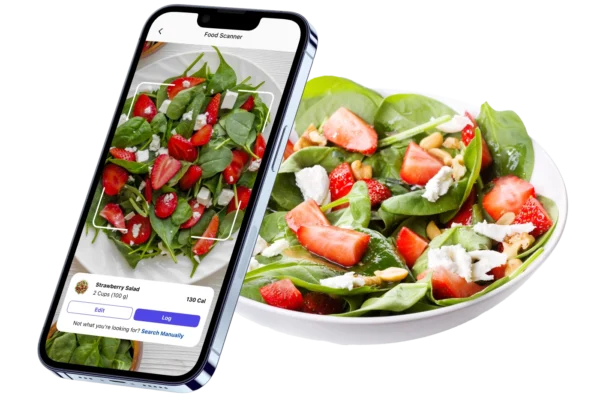 Nutrition Plan